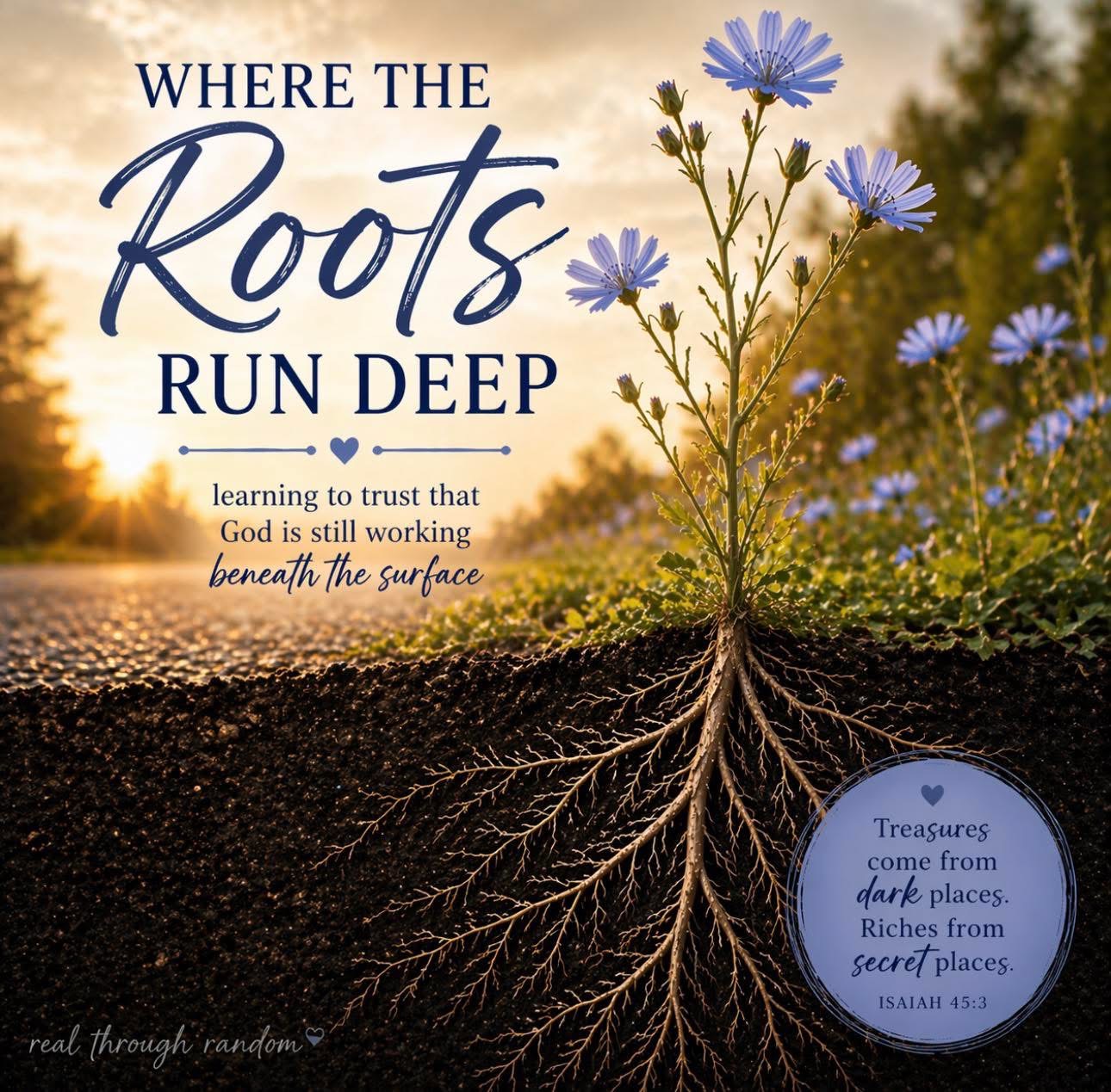 Where the Roots Run Deep learning to trust that God is still working beneath the surface By: Amanda Popp